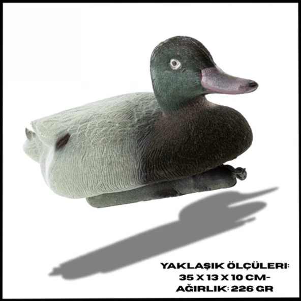 Uyguna-Yakala Erkek Küçük Tüylü  Ördek Mühresi  Yeşil Baş -RE.082 ürün görseli 1