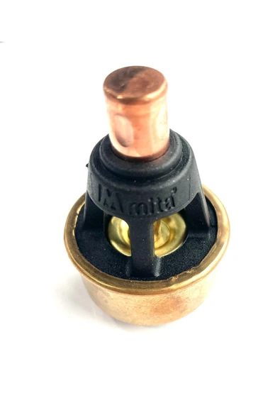 Termostat R12 75 C - Resim 2