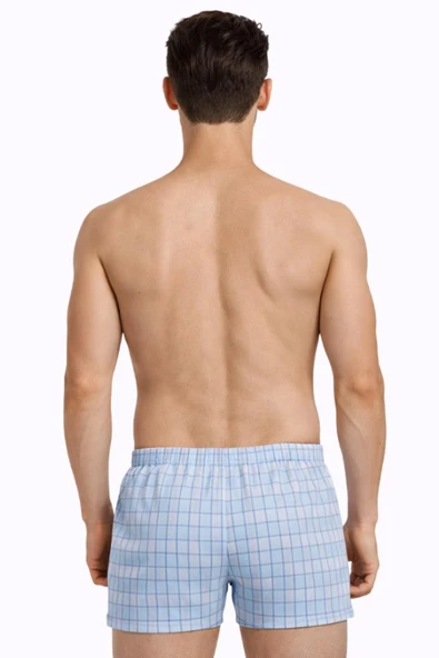 Erkek Renkli Arjantin Boxer 795 - Resim 3