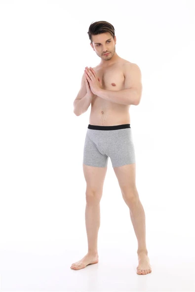 Erkek Elastanlı Gri Boxer 889 - Resim 2