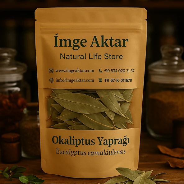 Okaliptus Yaprağı 30g - Resim 2