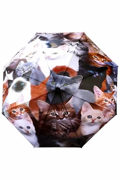 Kedi Desenli Canlı Lüx Renkli Baskılı Rüzgara Dayanıklı 8 Telli Katlanabilir Manuel Şemsiye ürün görseli 1