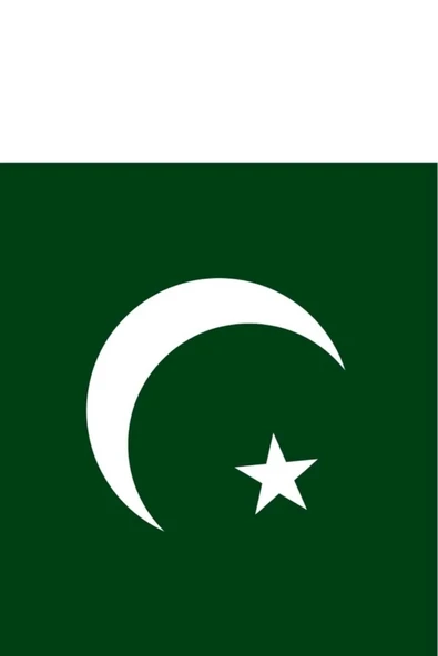 Pakistan Bayrağı  30x45 cm. - Resim 4
