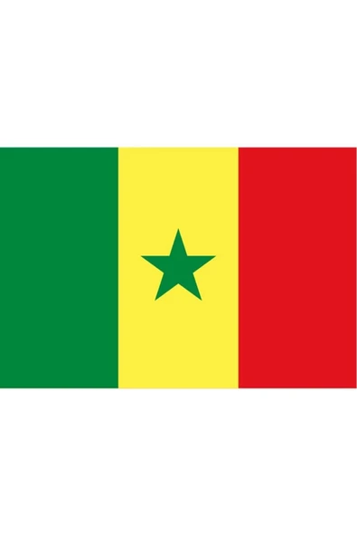 Senegal Bayrağı  50x75 cm. - Resim 5