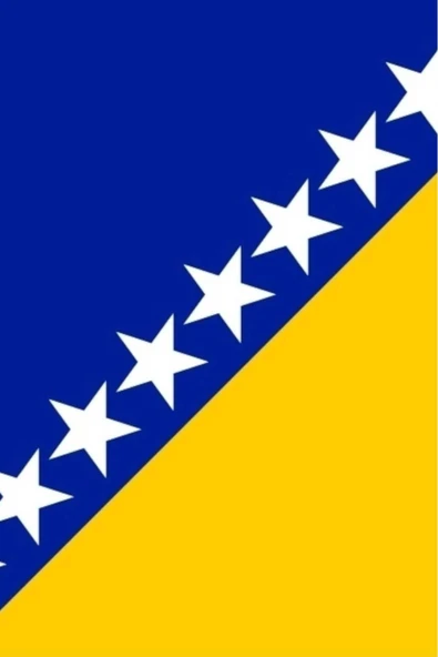 Bosna Hersek Bayrağı  50x75 cm. - Resim 2