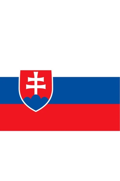 Slovakya Bayrağı  50x75 cm. - Resim 5