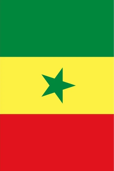 Senegal Bayrağı  50x75 cm. - Resim 2