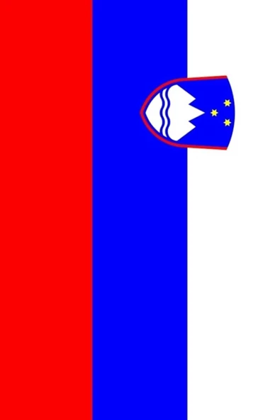 Slovenya Bayrağı  30x45 cm. - Resim 6
