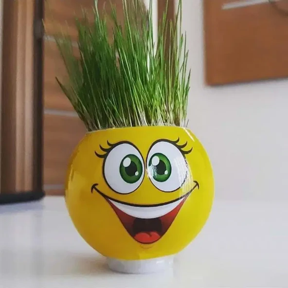 Emoji Şekilli Çim Adam Surat 1 Adet Okul Öncesi Sonrası Etkinlik ürün görseli 1