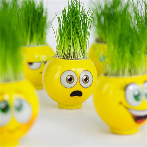 Emoji Şekilli Çim Adam 3 Adet Okul Öncesi Sonrası Etkinlik ürün görseli 1