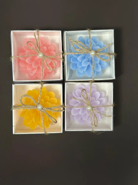 Lotus Mum 4 Adet Kutuda ürün görseli 1