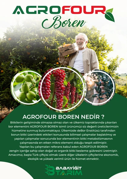 AGROFOUR BOREN SIVI BİTKİ GÜBRESİ 1 LT - Resim 2