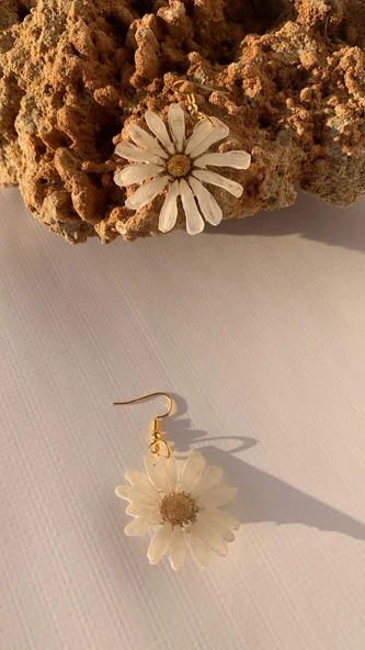 Kurutulmuş Beyaz Papatya İle Süslenmiş Papatya Şekil Gold Aksesuarlı Küpe Epoksi El Yapımı ürün görseli 1
