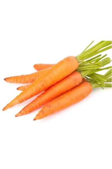 Sarı Havuç Tohumu 10 Gr - Resim 11