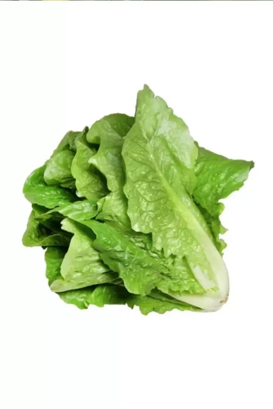 Yedikule Marul Tohumu 10 Gr - Resim 6