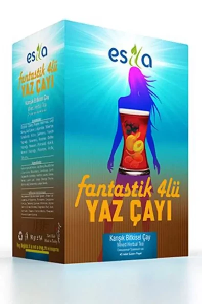 Fantastik 4 Lü Yaz Çayı 45 Li. - Resim 6