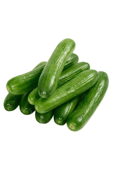 Hıyar Tohumu 20 Gr ürün görseli 1