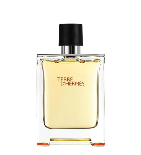 Hermes Terre DHermes Edt 100 ml Erkek Parfüm ürün görseli 1