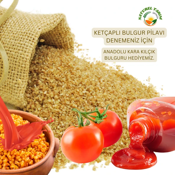 NATUREL KÖY TİPİ KETÇAP ( TATLI ) - Resim 5
