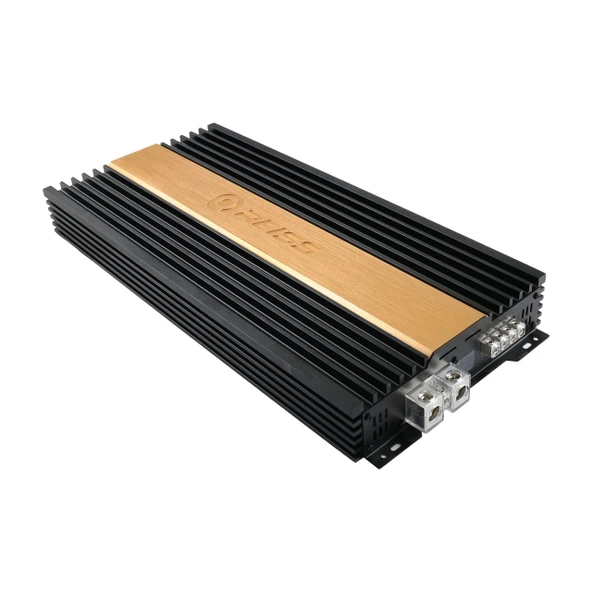 REİSS AUDIO RS-D2500.1 MONO AMFİ BAS KONTROLLÜ - Resim 2