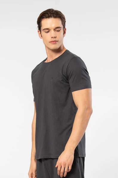 Cacharel Erkek Bisiklet Yaka T-shirt 2169/Antrasit ürün görseli 1