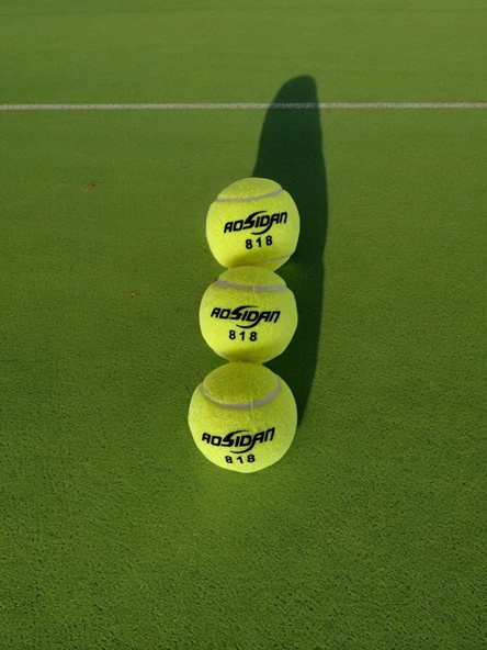 Antrenman Tenis Topu Pro Tenis Maç Topu 3 Adet ürün görseli 1