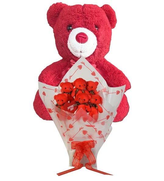 Sevimli 35 cm Peluş Ayı ile Premium Yumoş Kırmızı Peluş Ayıcık Buketi ürün görseli 1