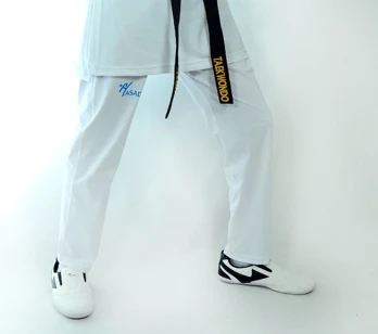 HAŞADO TAEKWONDO AYAKKABISI - Resim 3