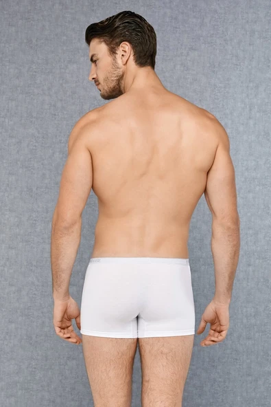 Doreanse Cotton Strecth Erkek Boxer 1717 - Resim 3
