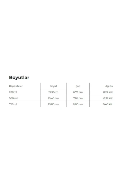 Les Artistes Paris Isı Yalıtımlı Çelik Termos 500ml Skater  Beyaz 500 ML ürün görseli 1