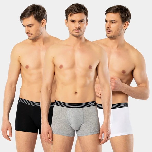 Cacharel Erkek 3'lü Boxer 1320/Beyaz-Siyah-Gri ürün görseli 1