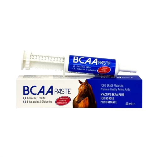 N-ACTİVE - BCAA PASTA 60 ML ürün görseli 1