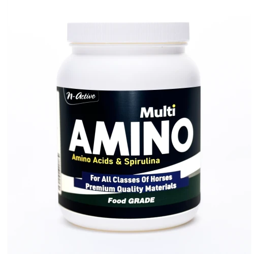N-ACTİVE - MULTİ AMİNO ACİD 1 KG ürün görseli 1