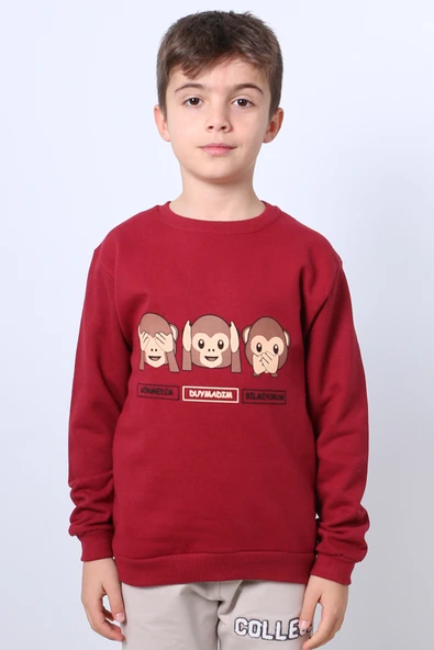ERKEK ÇOCUK ŞARDONLU SWEAT KARAKTER BASKILI RİBANALI E34 ürün görseli 1