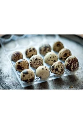 Kuluckalik bildircin yumurtasi 1 paket 12 adet ürün görseli 1