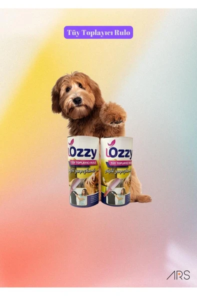 Lozzy Tüy Toplama Yedek Rulosu 2'li Paket ürün görseli 1