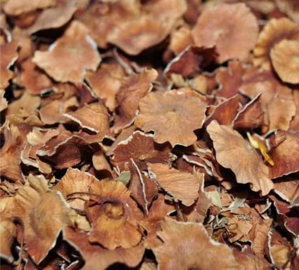 Deve Tabanı Otu  Karaçalı Otu Çarkıfelek Otu  1 kg ürün görseli 1