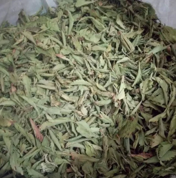 Stevia 100 gr Doğal Tatlandırıcı Şeker Otu Yaprağı - Kalorisiz Yağsız Stevya Yaprağı ürün görseli 1