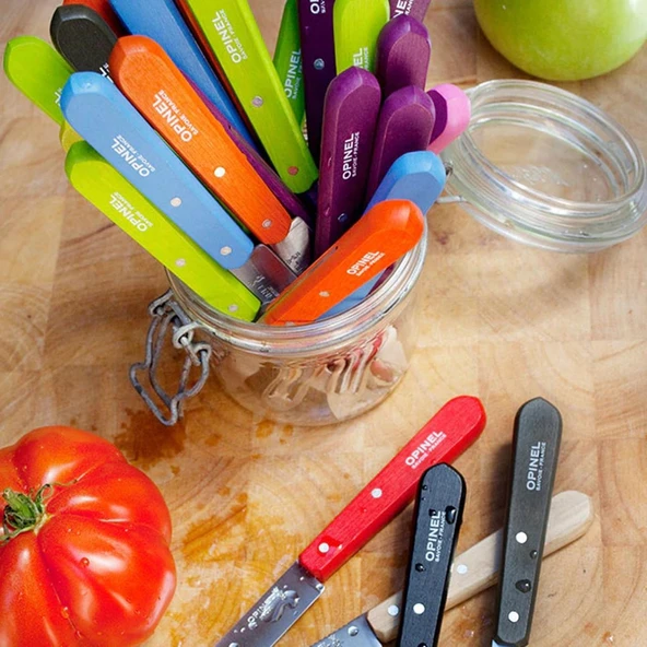 Opinel Essential No:113 Paslanmaz Çelik Tırtıklı Soyma Bıçağı ürün görseli 1
