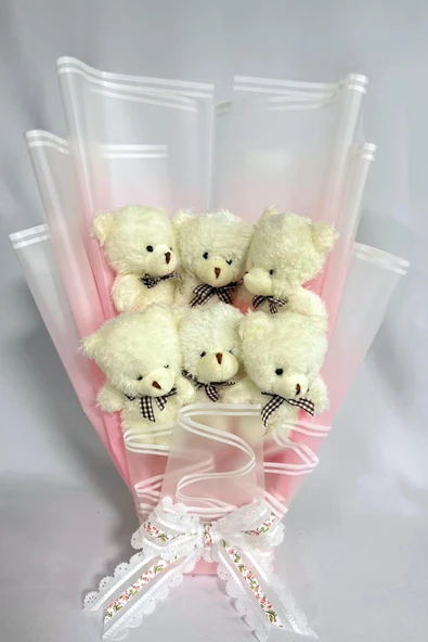 Sevgiliye Özel Peluş Ayıcık Buketi - 6 Adet Yumoş Peluş Ayılı Buket Özel Büyük Kutusunda ürün görseli 1