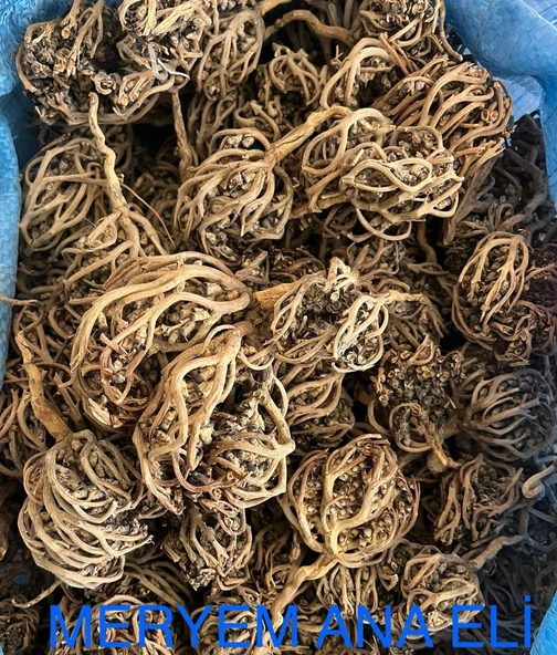 Kolay Doğum Için 1 kg  Meryem Ana eli otu Fatma Ana Eli Otu ürün görseli 1