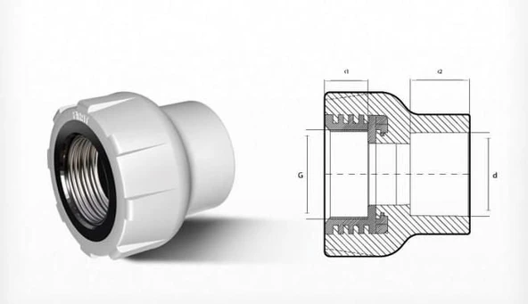 Ege Yıldız PPRC 25X1/2 Dişi Adaptör Gri - Resim 6