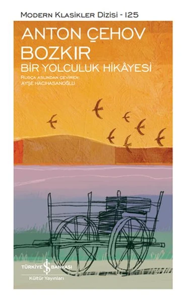 Bozkır - Bir Yolculuk Hikâyesi - Sert Kapak ANTON PAVLOVİÇ ÇEHOV ürün görseli 1
