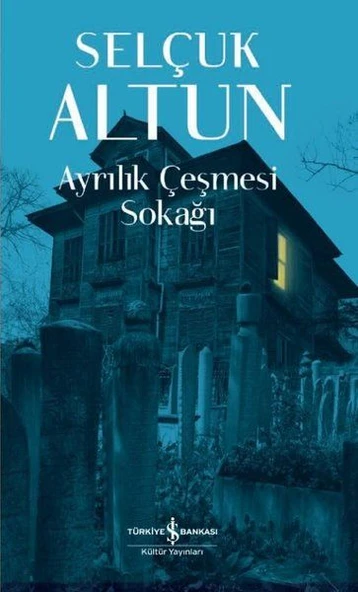 Ayrılık Çeşmesi Sokağı  SELÇUK ALTUN ürün görseli 1