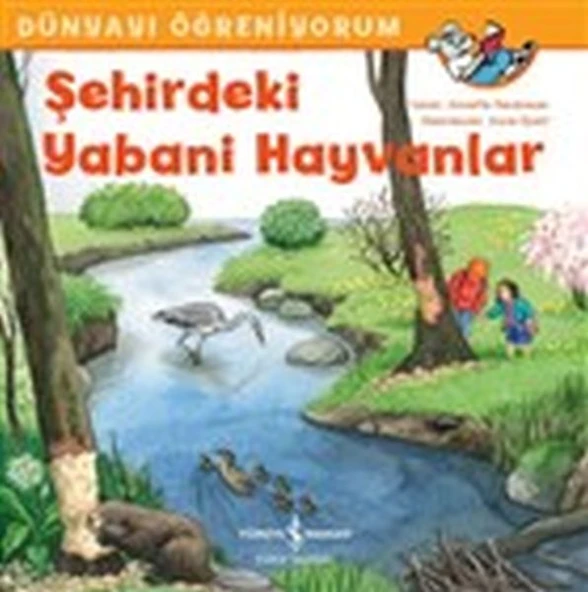 Dünyayı Öğreniyorum Şehirdeki Yabani Hayvanlar ANNETTE NEUBAUER ürün görseli 1