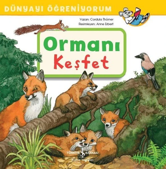 Dünyayı Öğreniyorum Ormanı Keşfet CORDULA THÖRNER ürün görseli 1