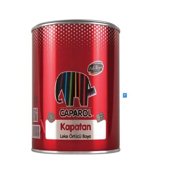 Filli Boya Caparol Kapatan 0,75 Lt ürün görseli 1