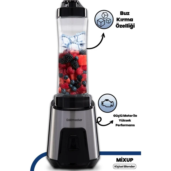 GOLDMASTER MİXUP GM-7259 KİŞİSEL BLENDER INOX ürün görseli 1