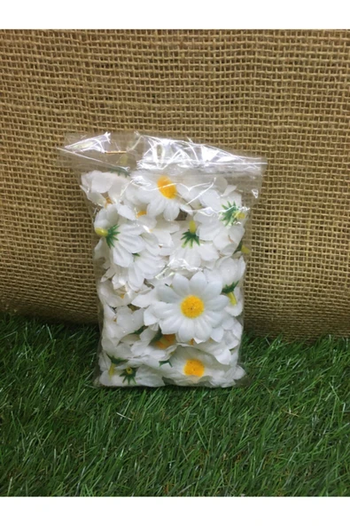 25'li Mini Papatya Paketli ürün görseli 1