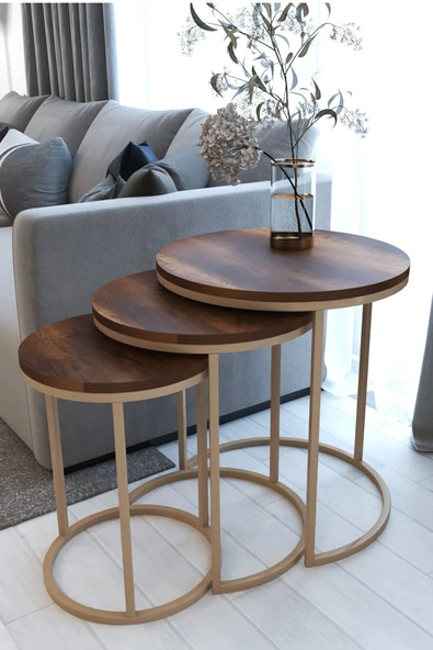 ECOL DESİNGS Ecol 3lü Lüx C Zigon Sehpa Capicino Ceviz ürün görseli 1